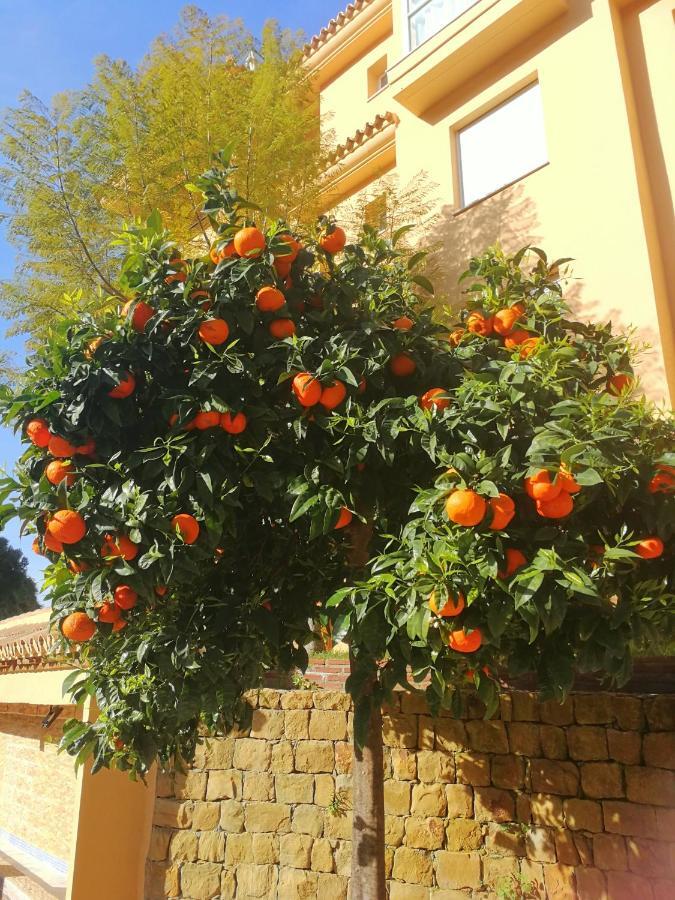 Sitio de Calahonda Apartment Princess Park, Mijas מראה חיצוני תמונה